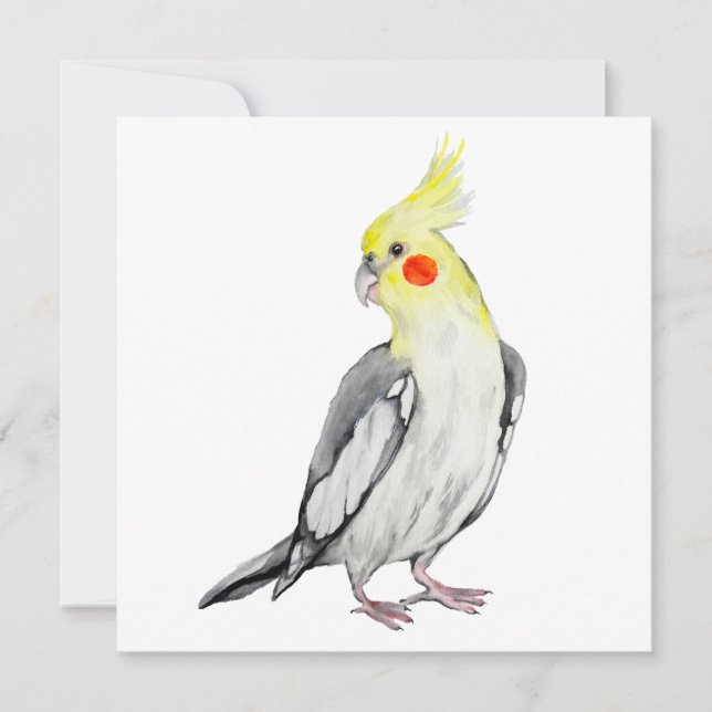 Cute Cockatiel Watercolor Parrot. (Anverso)