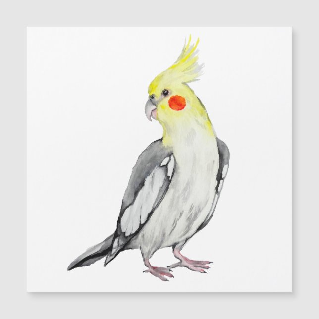 Cute Cockatiel Watercolor Parrot. (Anverso)