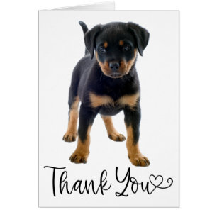 Cute Cuppy Dog Rottweiler Gracias