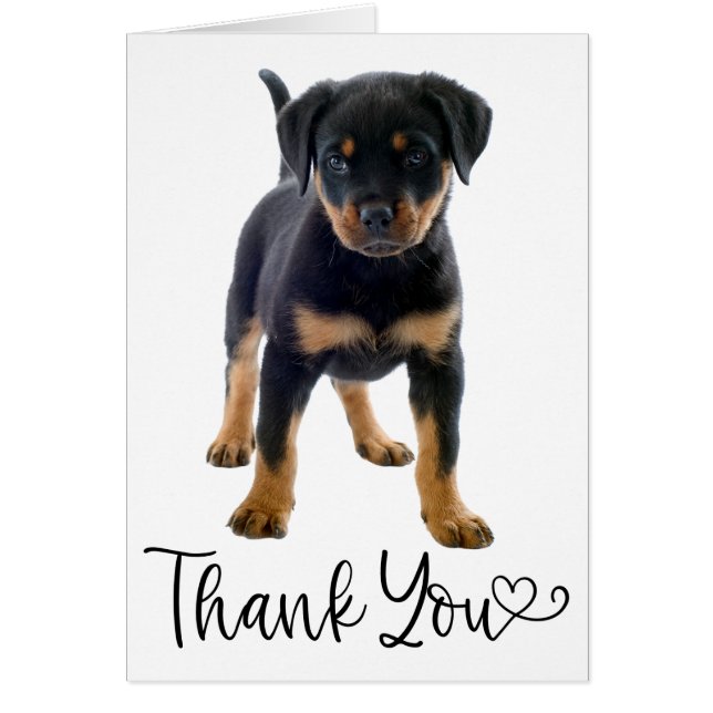 Cute Cuppy Dog Rottweiler Gracias (Frente)