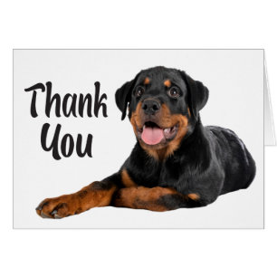 Cute Cuppy Dog Rottweiler Gracias