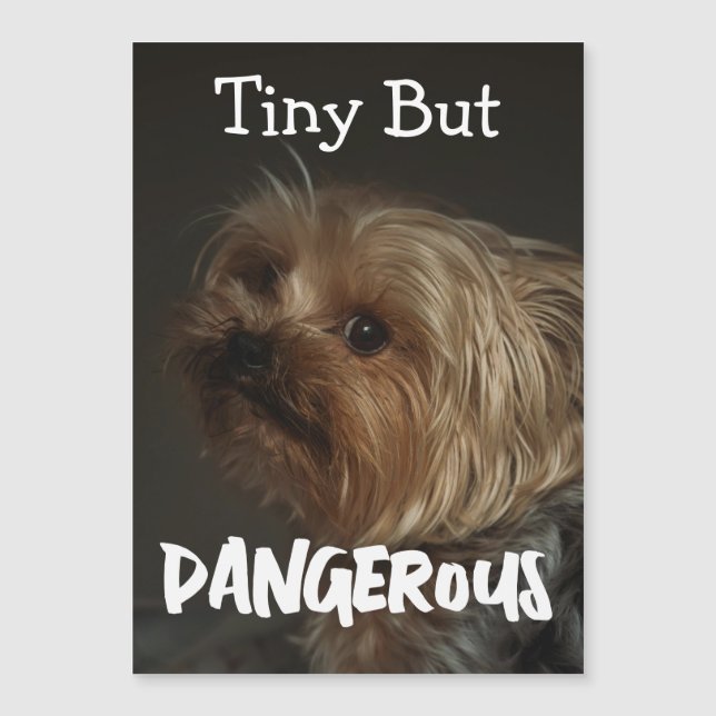 Cute Customizable Personalized Terrier Dog Mom Pet (Anverso)