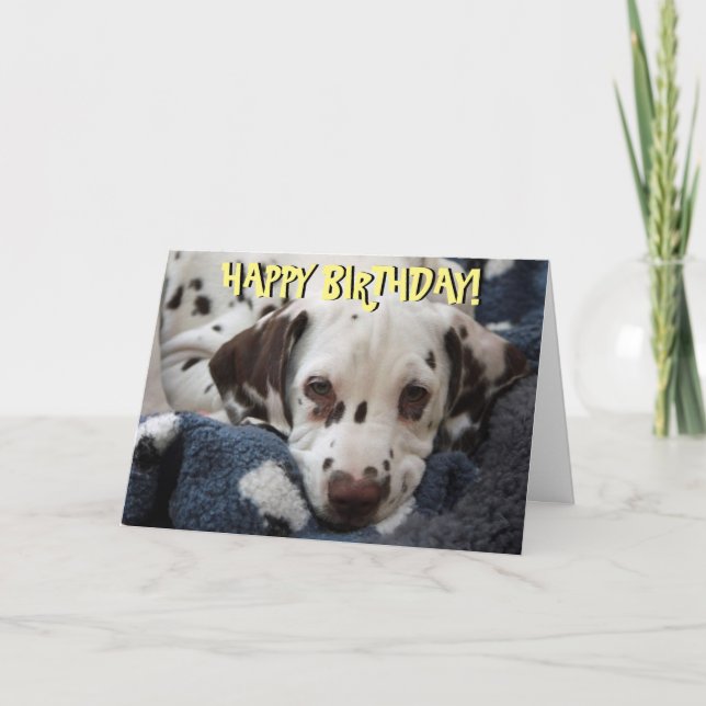 Cute dalmatia tarjeta de cumpleaños (Anverso)