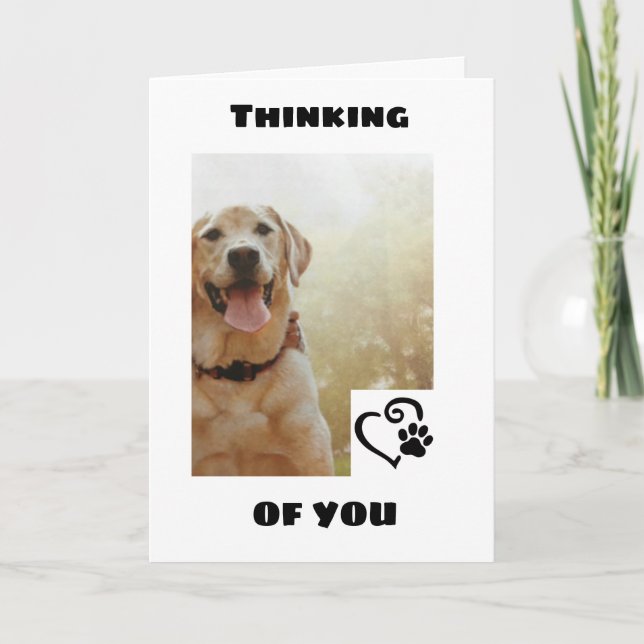 *CUTE DOG DICE QUE TIENE UNA TARJETA DE CUMPLEAÑOS (Anverso)