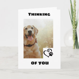 *CUTE DOG DICE QUE TIENE UNA TARJETA DE CUMPLEAÑOS