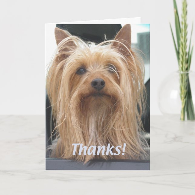 Cute Doggie Gracias Tarjeta (Anverso)