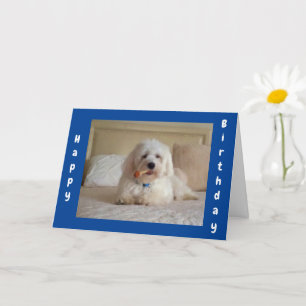 **CUTE DOGGIE WISHES** TARJETA DE CUMPLEAÑOS DE UN