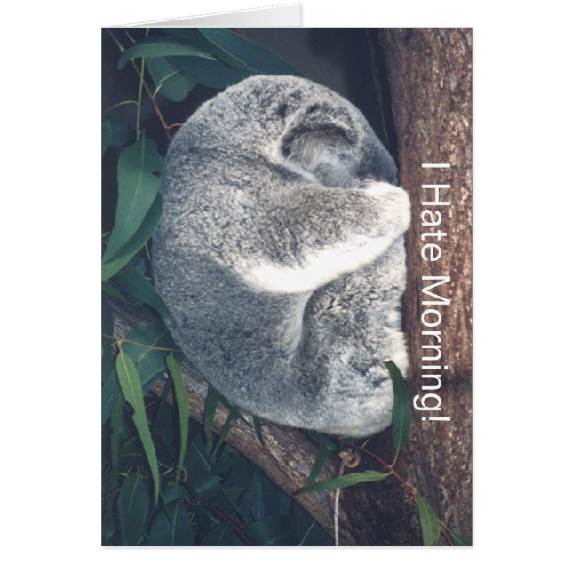 CUTE EL OSO DE KOALA EN EL ÁRBOL/"ODIO LA MAÑANA!" (Frente)