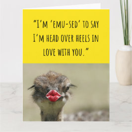 Cute Emu Bird Graciosas tarjetas de San Valentín