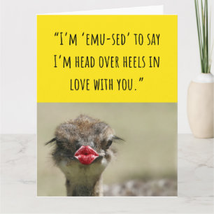 Cute Emu Bird Graciosas tarjetas de San Valentín