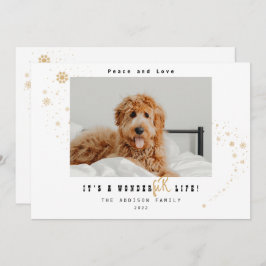 Cute, es un Navidad de fotos Mascota de WonderFUR