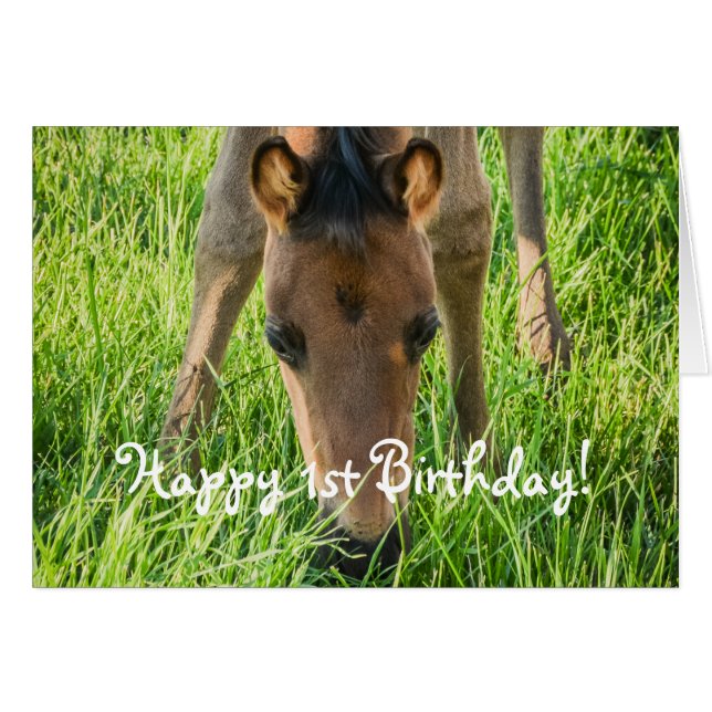Cute Foal Horse Animales Felices Cumpleaños (Anverso (Horizontal))