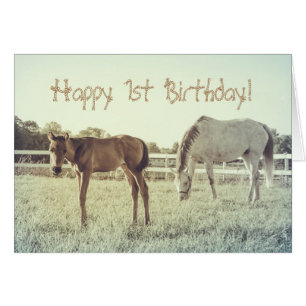 Cute Foal Horse Animales Personalizado Tarjeta de