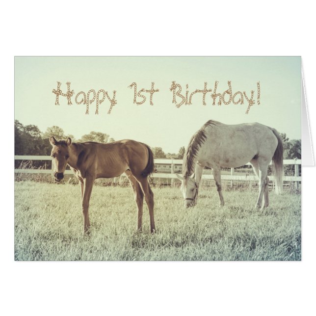 Cute Foal Horse Animales Personalizado Tarjeta de  (Anverso (Horizontal))
