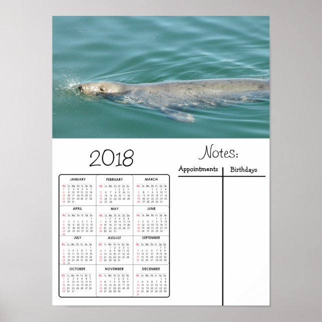 Cute Foca Nadando Foto Póster Calendario 2018 (Frente)