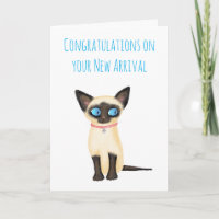 Cute gatito siamés nuevo mascota tarjeta para un p