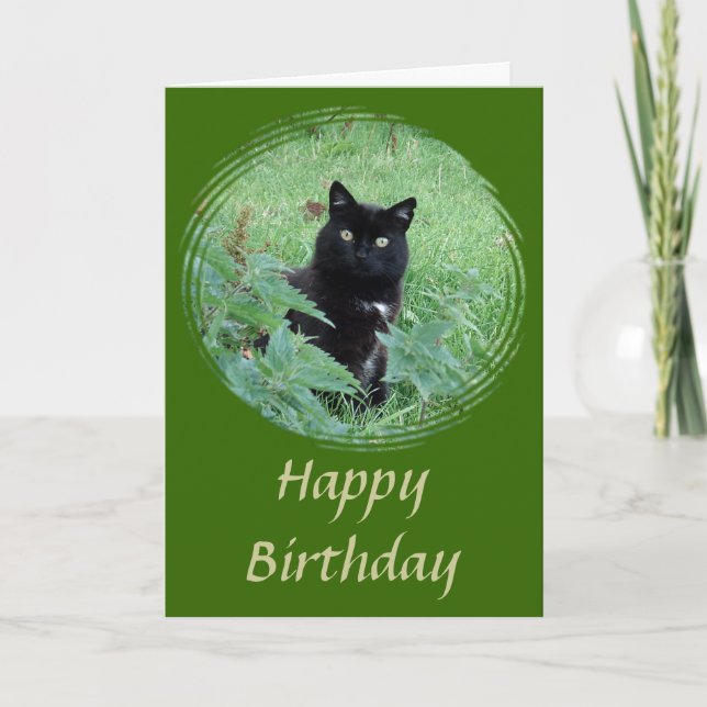 Cute gato negro con curiosa tarjeta de cumpleaños (Anverso)