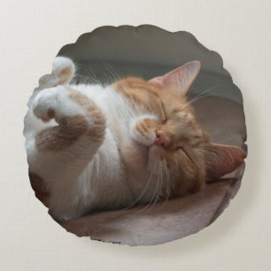 Cute gatos durmiendo Cojín decorativo redondo
