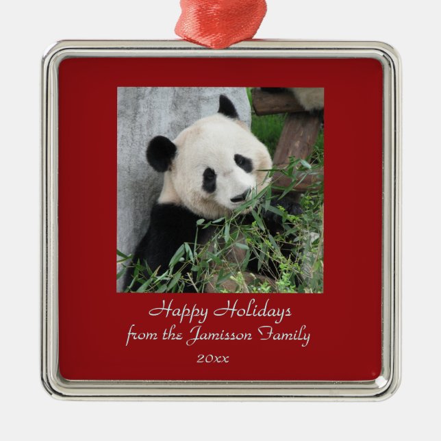 Cute gigante Navidades de Panda Plaza de Ornamento (Frente)