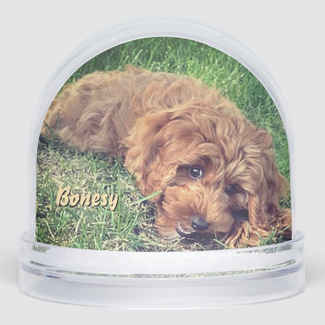 Cute Golden Doodle Snow Globe (Anverso)