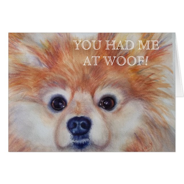 CUTE GOLDEN POMERANIAN (Anverso (Horizontal))
