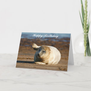 Cute Grey Seal Pup - Feliz Cumpleaños Tarjeta de S
