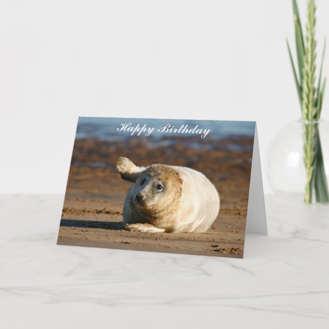 Cute Grey Seal Pup - Feliz Cumpleaños Tarjeta de S (Anverso)