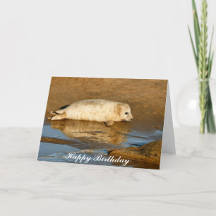Cute Grey Seal Pup - Feliz Cumpleaños Tarjeta de S