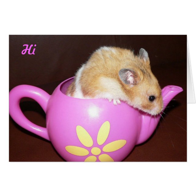 Cute Hamster (Anverso (Horizontal))