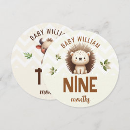 Cute Hedgehog Ox 9-10 meses Rótulo hito bebé