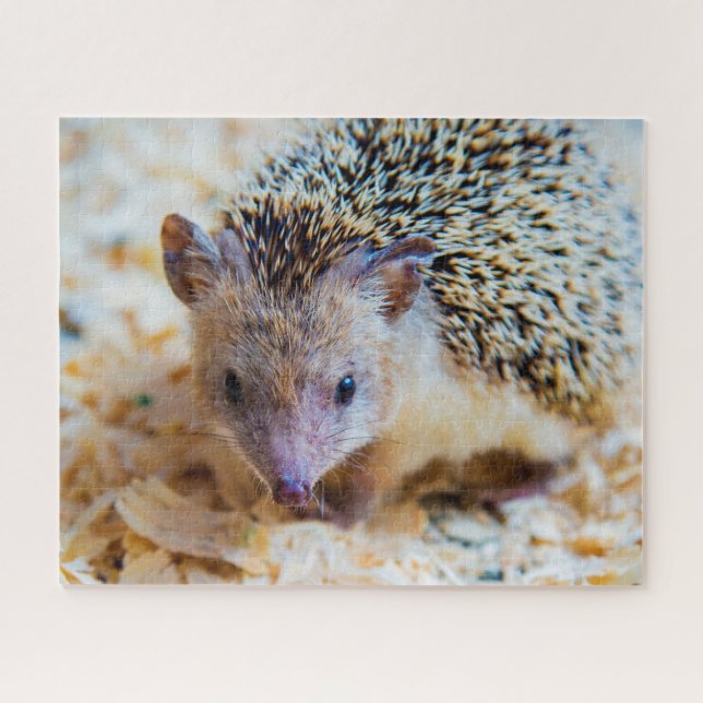 Cute Hedgehog, rompecabezas de Jigsaw (Horizontal)