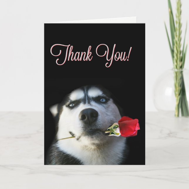 Cute Husky y Rosa Tarjeta de agradecimiento (Anverso)