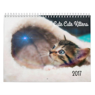 CUTE KITTENS 2017 CALENDARIO