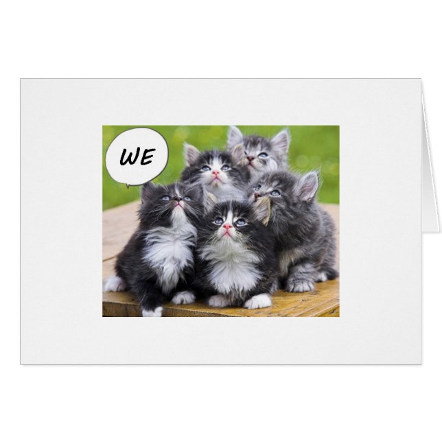 CUTE KITTENS LE DESEA A ALGUIEN UN FELIZ CUMPLEAÑO (Anverso (Horizontal))