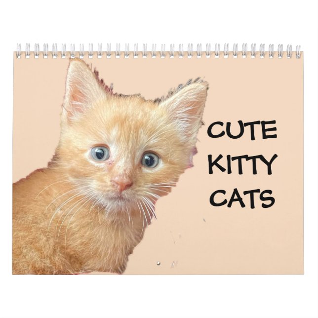 CUTE KITTIE CATS Calendario (Tapa)