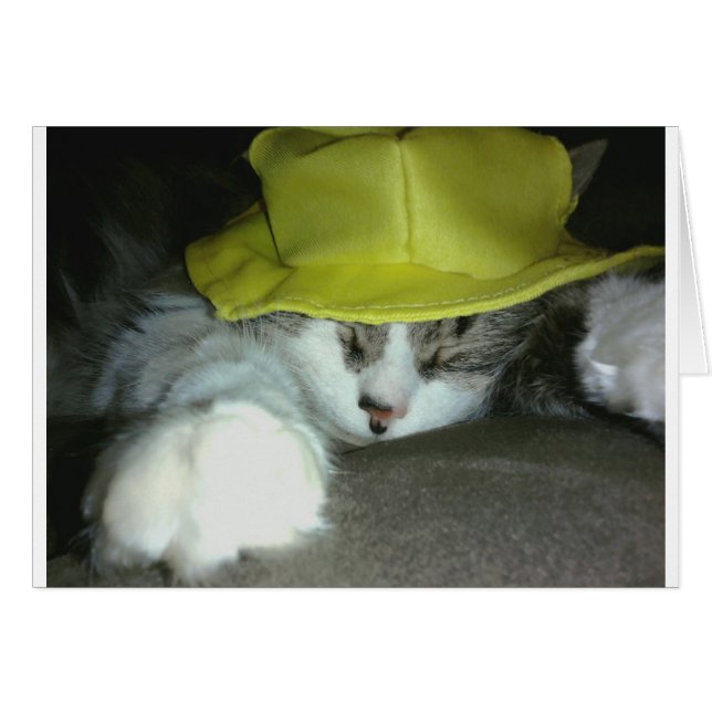 CUTE KITTY CAT (Anverso (Horizontal))