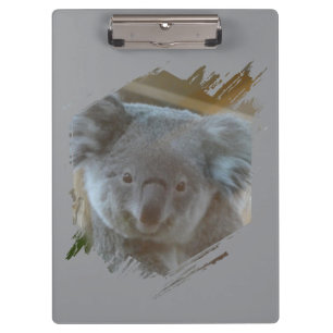 Cute Koala Cust. Portapapeles de BG