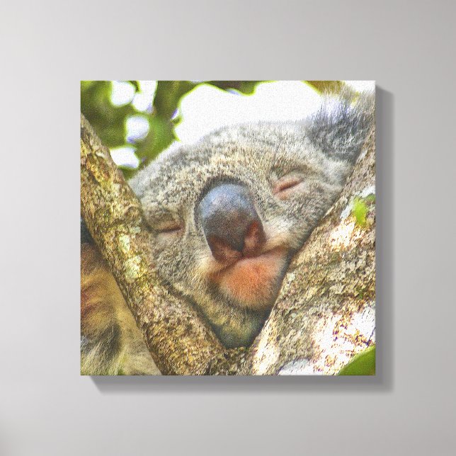 Cute Koala Oso Lienzo envuelto (Anverso)