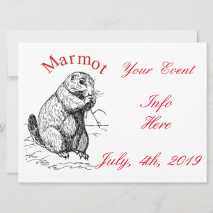 Cute Marmot Animal Thunder_Cove