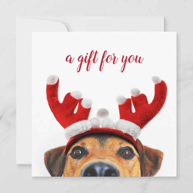 Cute Navidades de diversión Perro Reindeo Tarjeta  (Anverso)