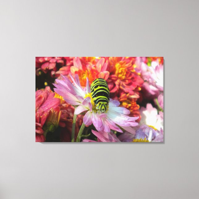 Cute Nosy Caterpillar N Mamáes Lienzo envuelto (Anverso)