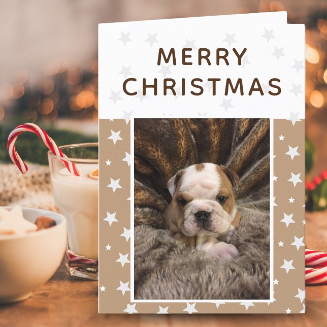 Cute Perro Cachorro Fotos Estrellas Feliz Navidad (Subido por el creador)