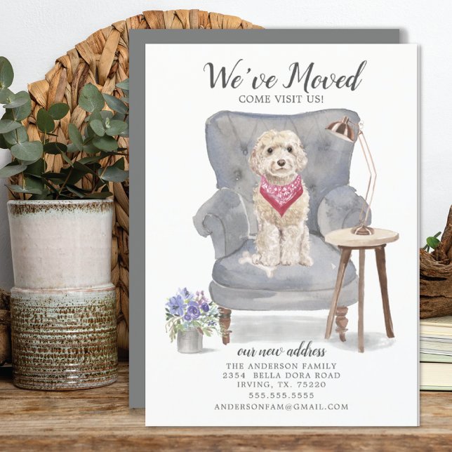 Cute perro Cockapoo hemos movido la Invitación (Subido por el creador)