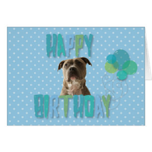 Cute Pibull Dog Feliz Cumpleaños Tarjeta de Saludo