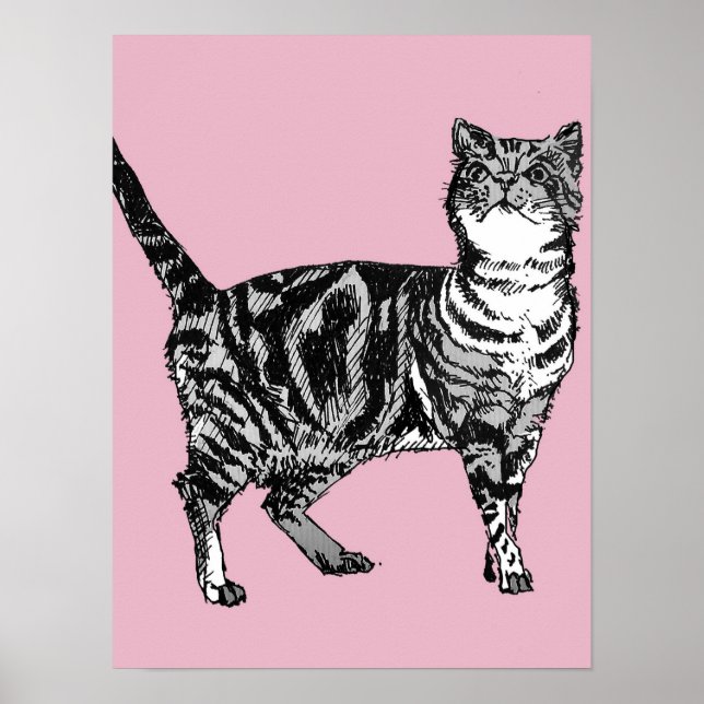 Cute Pink rayado gato atigrado gatos cartel arte (Frente)