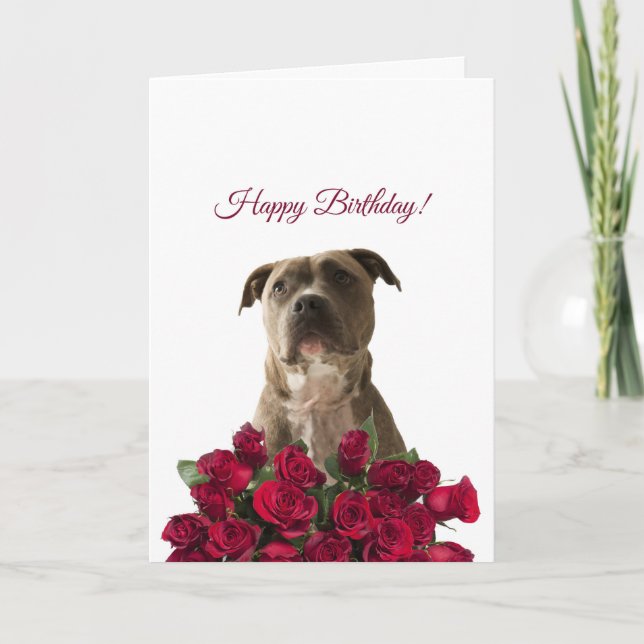 Cute Pit, Rosas de bulldog, tarjeta de cumpleaños  (Anverso)