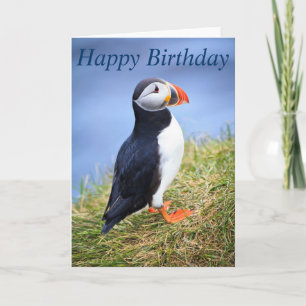 Cute Puffin Feliz Cumpleaños Tarjeta de Saludo