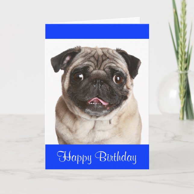 Cute Pug Puppy Dog Feliz Cumpleaños Tarjeta de Sal (Anverso)