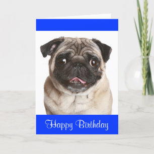 Cute Pug Puppy Dog Feliz Cumpleaños Tarjeta de Sal