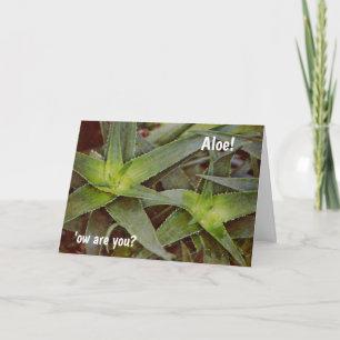 Cute Pun Cactus Aloe Hola pensando en tu tarjeta